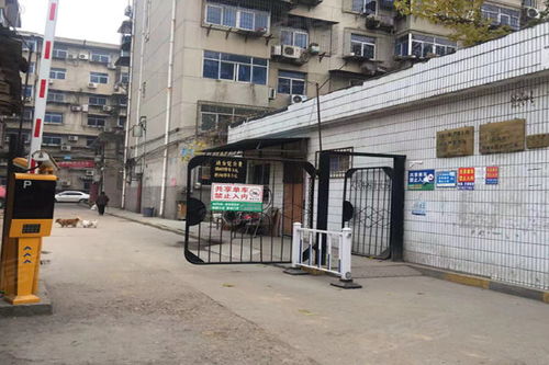 西安玻璃制品廠家屬院深度解析 優點、不足與周邊市場觀察